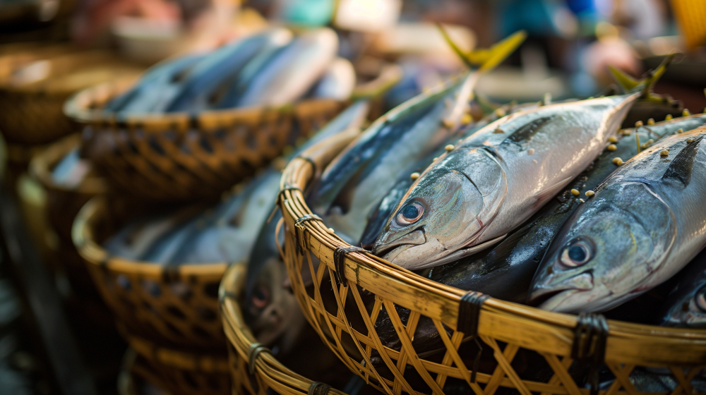 Aquaculture et pêche