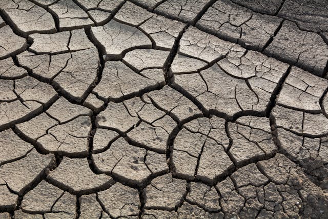 Changements climatiques